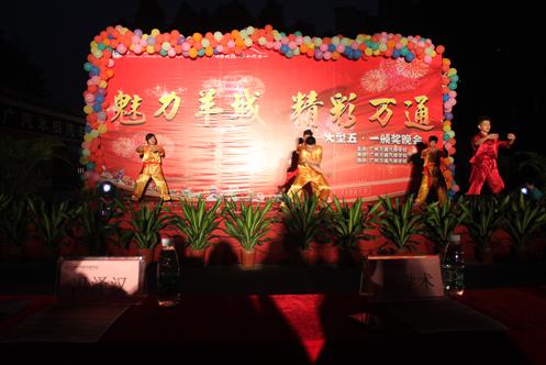 武術(shù)表演